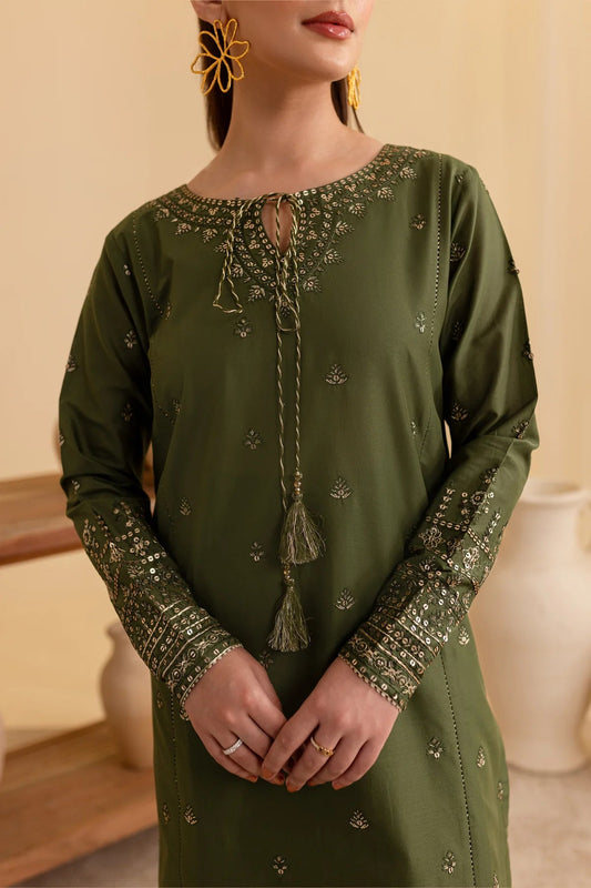 Nayab 2 Pcs