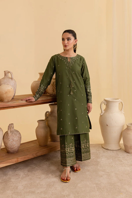 Nayab 2 Pcs
