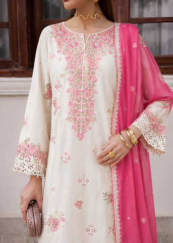 Rohini 3 Pcs
