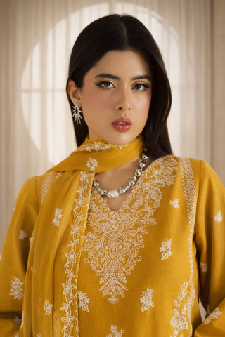Roshni 3 Pcs